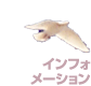 インフォメーション